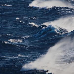 成人免费毛片❌❌❌嘿嘿连载视频
