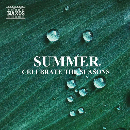 成人免费毛片❌❌❌嘿嘿连载视频
